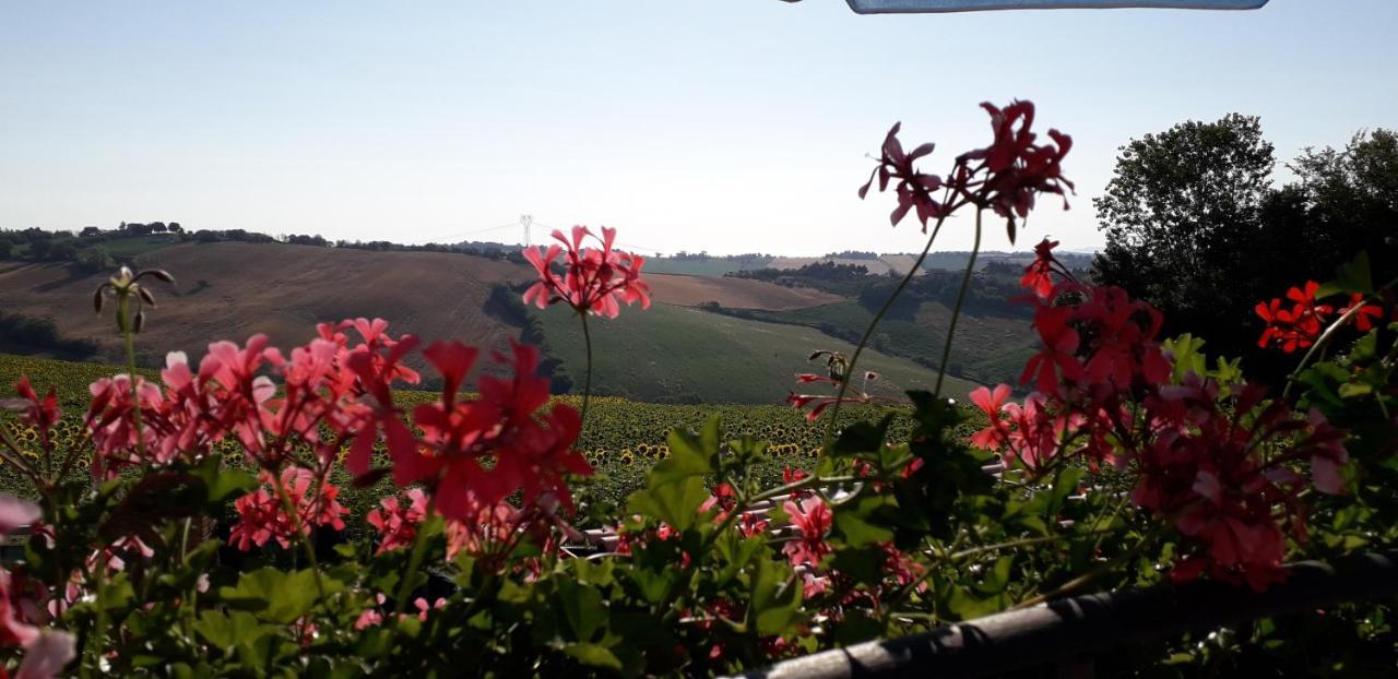 Lo Scrigno Di Simon Bed & Breakfast Senigallia Exterior photo